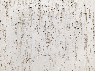 Gray textured wall. Plaster bark beetle, old grunge background.