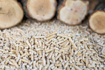 Beech wood and wooden pellets. Wooden materials and biomass.