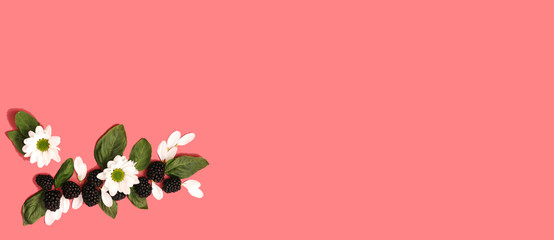 blackberries with flowers and basil leaves on bright pink background. Concept summer fresh berries time, styling, decor, flatlay, copyspace, banner