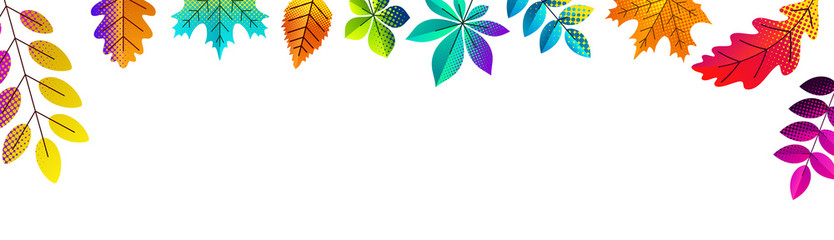 Parts of autumn leaves on white background.