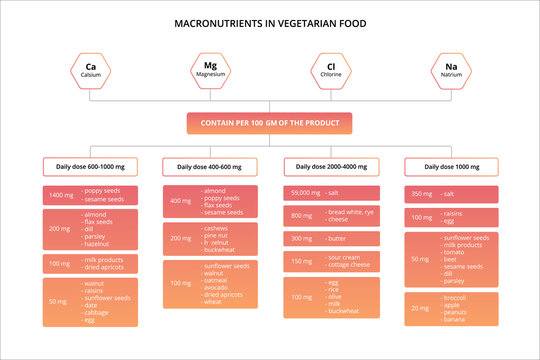 Chart of the nutrients, vitamins and minerals in vegetarian food.