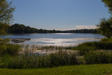 lake and forest