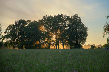Naklejka premium sunset in the countryside