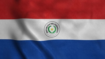 Paraguay flag waving in the wind. National flag Republic of Paraguay. 3d rendering