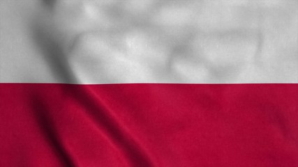 Poland flag waving in the wind with high quality texture. 3d rendering