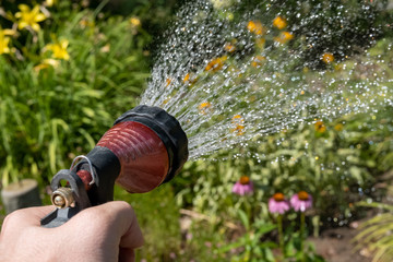 Watering a garden holding a spray nozzle