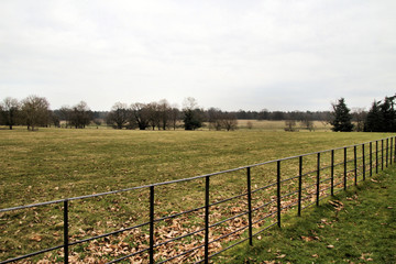 A view of the Shropshire Countryside near Shrewsbury
