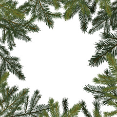 Fototapeta na wymiar Square frame of spruce twigs. Vector illustration