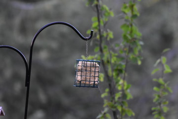 Landscapes of the United States