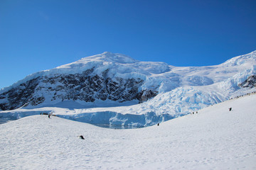 Fototapeta na wymiar Gletscher in Antarktis - Eisberge und Schnee