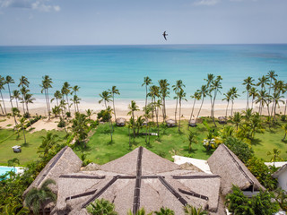 Real estate at the paradise beach with blue water and palm trees in Las Terrenas, Samana, Dominican Republic 