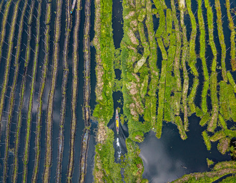 Myanmar, Shan State, Nyaungshwe Township, Aerial view of floating gardens on Inle Lake