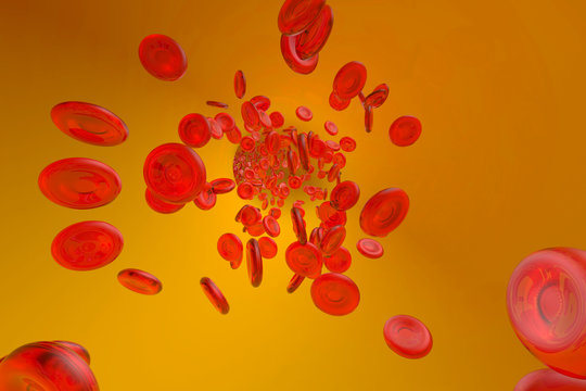 Three dimensional render of flowing red blood cells