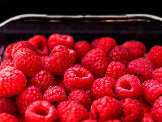 Fresh juicy raspberries in a plastic trey. Black background. Fresh fruit concept.