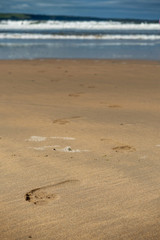Foot prints on a yellow ocean sand.