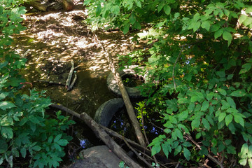 A small forest river is polluted with garbage. Plastic trash, foam, wood and dirty waste
