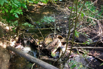 Naklejka na ściany i meble A small forest river is polluted with garbage. Plastic trash, foam, wood and dirty waste