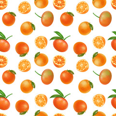 Seamless pattern with hand drawn mandarins on a white background