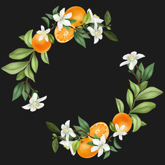 Wreath of hand drawn blooming mandarin tree branches, mandarin flowers and mandarins, isolated illustration on a dark background