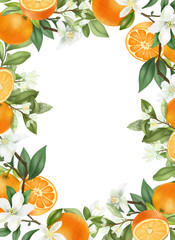 Naklejki  Card template, frame of hand drawn blooming oranges tree branches, flowers and oranges on white background
