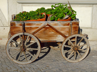 der Blumenwagen