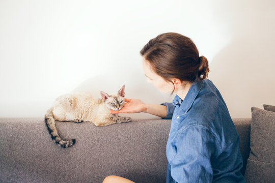 Woman is petting cute cat after busy work day to tackle stress and improve mood. Cat is purring and is happy to spent time with owner. Woman is cuddling, playing, hanging out with her Devon Rex kitty.