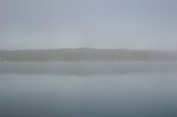 Tree horizon across the lake in fog
