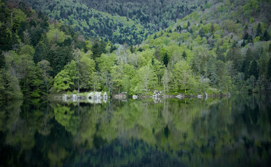 Small island on a mountain lake. Green trees are reflected in the water.