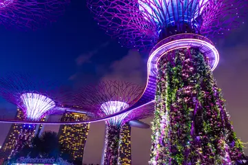 Wandcirkels aluminium SINGAPORE, 3 OCTOBER 2019: The Supertrees of Gardens by the bay © Stefano Zaccaria