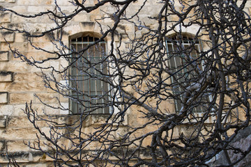 windows in stone wall behind tree branches during winter