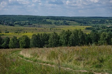 Fototapeta na wymiar summer green landscape in Russia. 