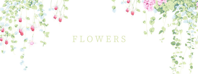 Watercolor flower illustration, combination of elements