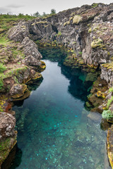 Nature at Pingvellir Rift Valley Iceland