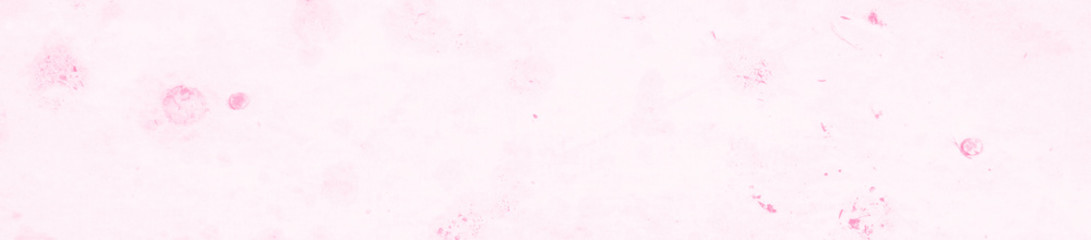 Fototapeta premium abstract light pink and white colors background for design