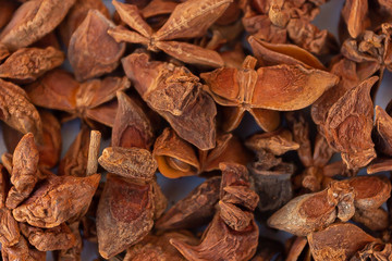 handful of star anise
