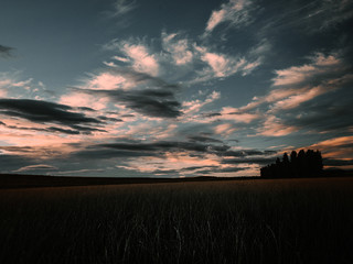 Atardecer en el campo