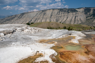 The colorful terraces of hot springs in the Mammoth Hot Springs area of Yellowstone National Park