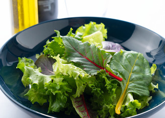 Various salad leaves on a plate