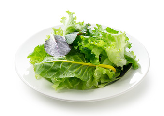 Various salad leaves on a plate