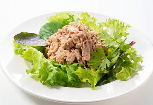 Tuna served with the salad.