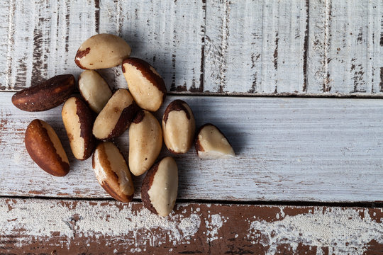 castanha do par&aacute; brasil