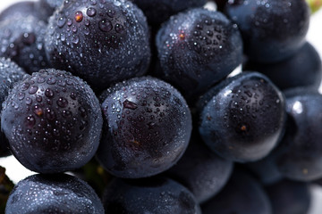 巨峰　夏の果物