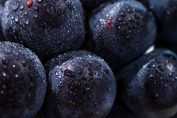 巨峰　夏の果物