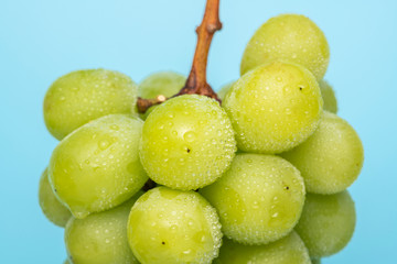 シャインマスカット