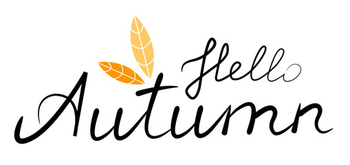 Hello autumn lettering. Handwritten calligraphic text. Isolated on white background. Vector illustration.