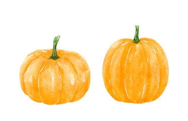 Two orange autumn pumpkins isolated on white background. Watercolor hand-drawn illustration. Perfect for your project, greeting cards, prints, covers, patterns, invitations, menu, logo.