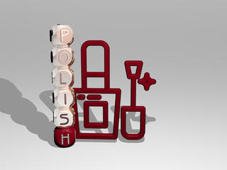 3D representation of POLISH with icon on the wall and text arranged by metallic cubic letters on a mirror floor for concept meaning and slideshow presentation for poland and nail