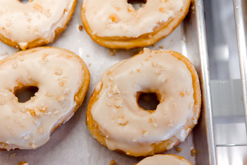 Glazed donuts on sheet pan in bakery case