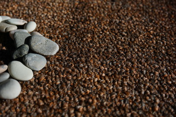 Pebble stones background concepts. Dark background and light stones