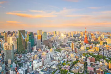 Foto op Plexiglas Tokyo skyline  with Tokyo Tower in Japan © f11photo